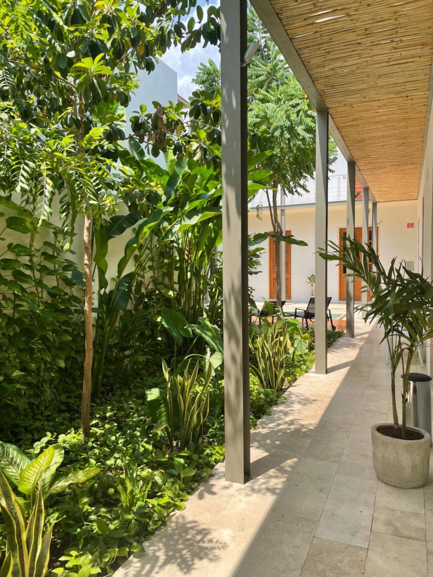 Villa Orquidea Boutique Hotel 메리다 외부 사진